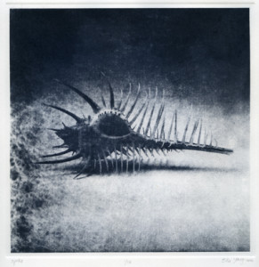 Ellie Young Copper Plate Photogravure